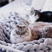 Load image into Gallery viewer, Handmade Knit Pet bed